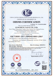 OHSAS18001英文版
